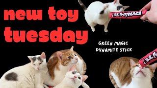 NEW TOY TUESDAY (GONE WRONG!) • Catstages Green Magic Dynamite Stick