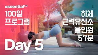 하체 + 근력 유산소 올인원 운동 홈트 / 에센셜50 100일 홈트 프로그램 - Day 5