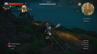 The Witcher 3: Wild Hunt - Complete Edition Imlerith Death March