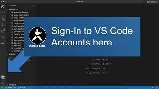 Karate Pro - Visual Studio Code - How to Sign In