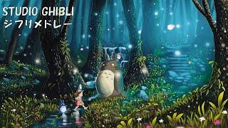 [Ghibli Music Collection 2024]  Best Ghibli Piano Collection  BGM for work/relax/study