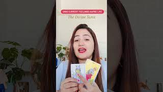 Unki Current Feelings - His Current Feelings| Hindi Tarot Reading | The Divine Tarot