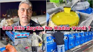 600 Kilo Son Hasat Zeytinden Bakın Kaç Kilo Zeytinyağı Çıktı ? Osmaniye Sumbas