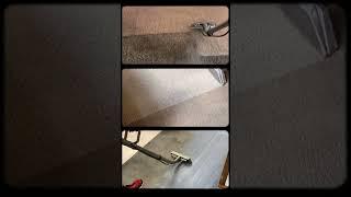 Carpet cleaning @EdsCleaningHawaii #carpetcleaning #followme #bigisland #youtubeshorts #satisfying