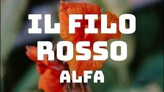 ALFA - il filo rosso (Testo/Lyrics)