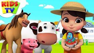 Old Macdonald Had A Farm | Boom Buddies Cartoons | Videos For Children - Kids TV