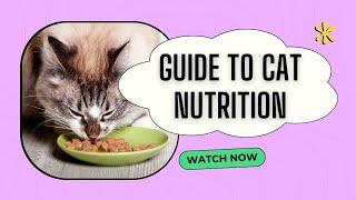 The Ultimate Guide to Cat  Nutrition:  "A Comprehensive Overview