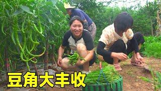 夏天的噩梦，一天三顿豆角子，大洋连续吃了7天，你看他那小表情亮了#陈说美食