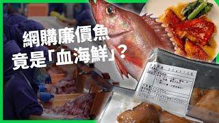 網購廉價魚竟是「血海鮮」？「強迫勞動」再洗產地流入全球！標籤疑雲背後的供應鏈黑幕！【TODAY 看世界】