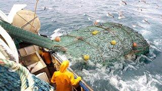 Amazing Giant Net Catch Hundreds Tons of Fish - Fastest Giant Fish Fishing & Processing Skill on sea