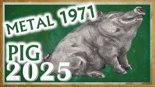  Pig Horoscope 2025 | Metal Pig 1971 | January 27, 1971 to February 14, 1972