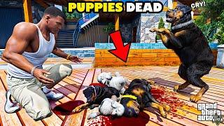 Franklin Trying To Find Who Killed Chop Puppies And Wife In GTA 5!