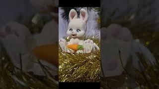 Year of the Bunny