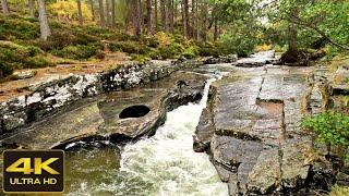 Rain Walk along Quoich River, Braemar, Scotland Countryside 4K