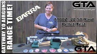 BARRA 1100Z .22 50 YARD PELLET TEST - Gateway to Airguns Range Time