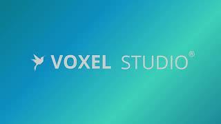 Voxel Studio | Próximamente...