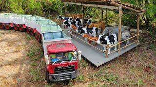 The rc long tow truck can fit cows, buffalo, elephants, horses