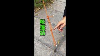 Simple and practical tent knot