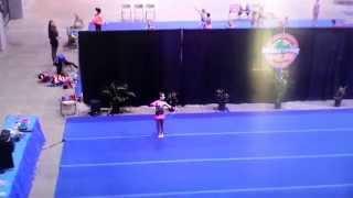 Adriana Rhytmic Gymnastics Suncoast Competition Level 3 2015