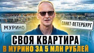 Реально ли купить |  квартиру в Мурино ￼| за 5 млн рублей | в хорошем доме | Метро Девяткино Питер ￼