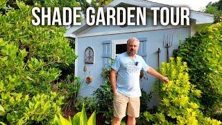 The Dry Shade Garden Tour - p15