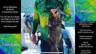 StrikeLines 3D Charts - Does it work? Florida Keys Spearfishing and How to find the best spots!