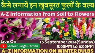 कैसे लगायें इन खूबसूरत फूलों के बल्ब || A-Z Information from Soil to Flowers || Winter Flower Bulb