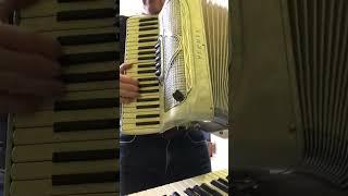 Accordeon Venuti