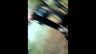 Ava jumping off gate