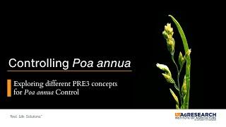 Exploring Different PRE3 Concepts for Poa annua Control