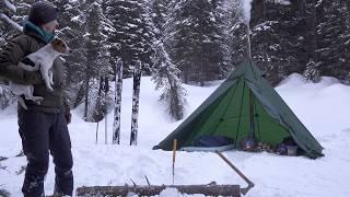 Hot Tent Camping Deep in the Mountains with my Dog - Haystack Mountain