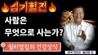 사람은 무엇으로 사는가?(심기혈정) ㅣ미국 LA 한의사 윌리엄 킴(김대권)