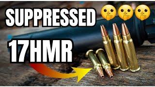 What Does Suppressed 17HMR Sound Like??? [Banish 22 Can]