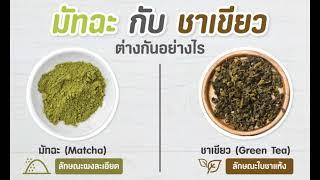 มัทฉะ กับ ชาเขียว ความแตกต่างที่คุณควรรู้