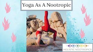 Why Yoga Is A Great Holistic Natural Nootropic