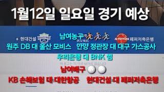 스포츠토토 프로토 1월 12일 남여농구  남여배구  예상