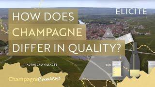 How Does Champagne Differ In Quality?