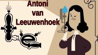 Antoni van Leeuwenhoek Google Doodle. Antoni van Leeuwenhoek is the Father of Microbiology