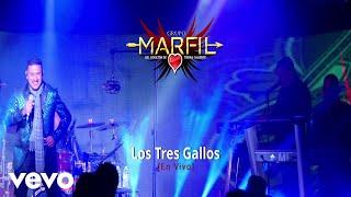 Grupo Marfil Del Corazon De Tierra Caliente - Los Tres Gallos (Official Music Video)