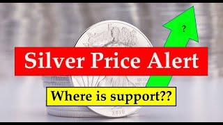 Silver Price Alert - Where is the Support? - November 28, 2024