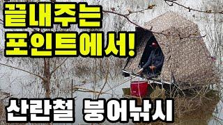 (SUB) 끝내주는 포인트에서!  산란철 붕어낚시 내림낚시 carp fishing へらぶな