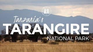 Tarangire National Park, Tanzania /2023