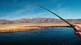 Upper Owens River Fishing - Sierra Steelhead