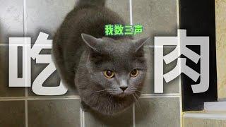 有些小猫咪啊，为了吃肉有800个心眼子