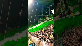 SV Werder Bremen | Schöne Choreo mit tausenden Fähnchen | Gast | FC St. Pauli | Bundesliga #24/25