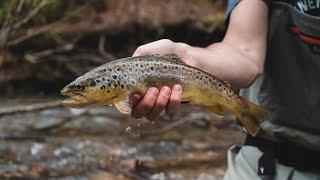 DRY DROPPER Fly Fishing for WILD Trout