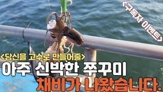 지금껏 제가써볼 채비중에 이채비가 단연 1등 입니다. 그냥 드릴테니 한번 써보시고 후기좀 알려주세요!! (쭈꾸미 갑오징어채비) *구독자이벤트*