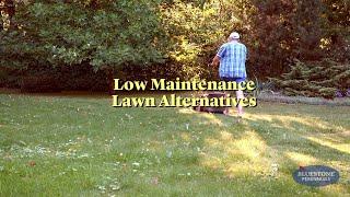 Low-Maintenance Lawn Alternatives