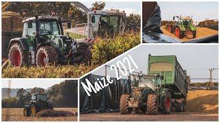 Hunt Contracts + Darfield Farm - Maize 2021