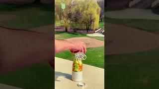 Fresh Fruit Juice in Seconds with BlendOn Portable Blender!
